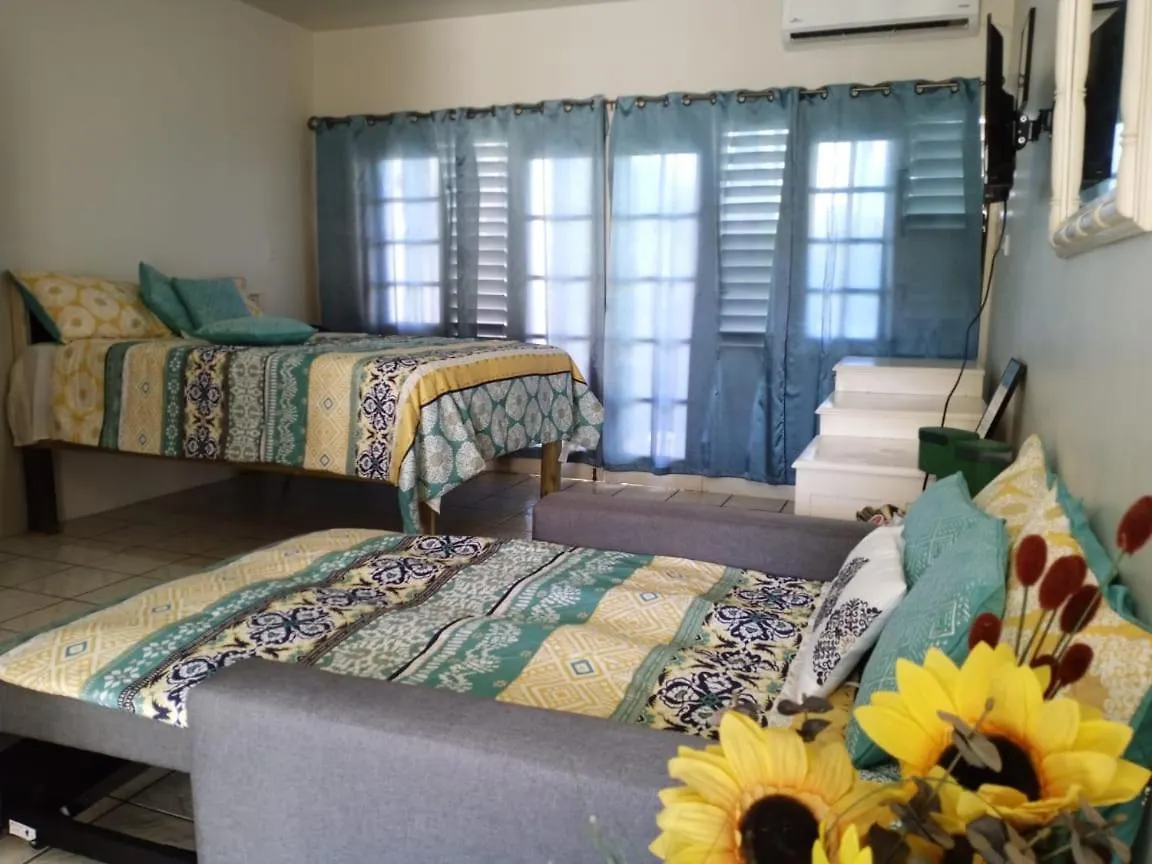 Ridgeway Guest House Montego Bay Jamaica